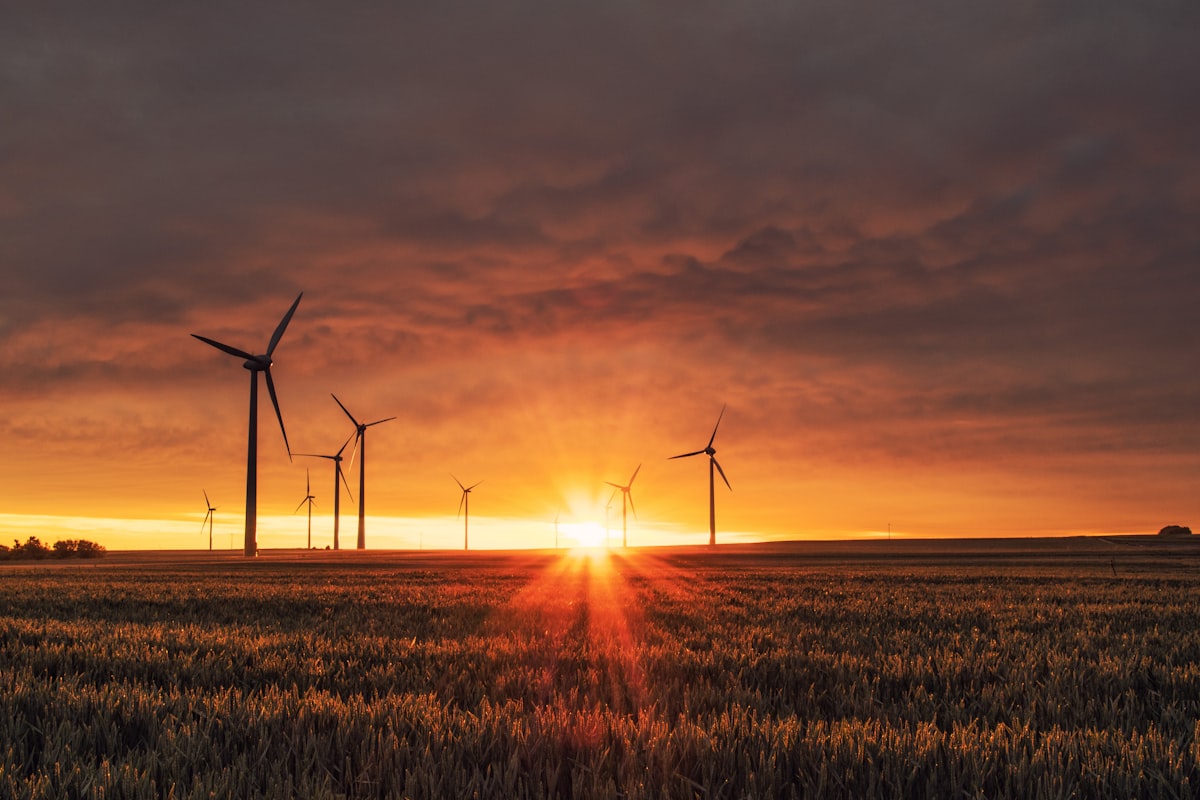 White wind turbines on green hills at dawn